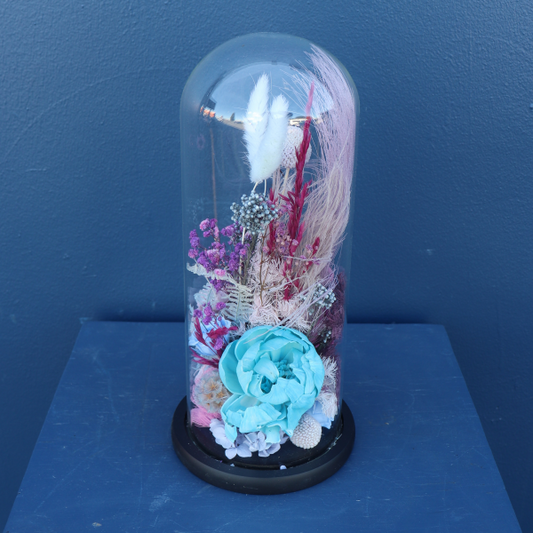Preserved Dome | Chacha