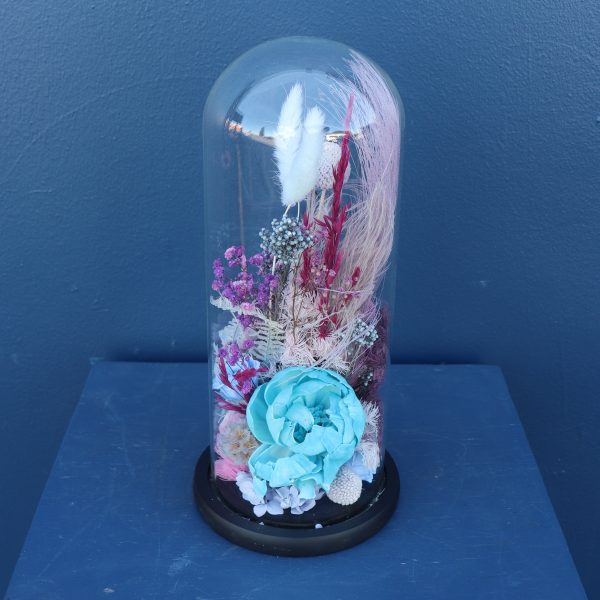 Preserved Dome | Chacha